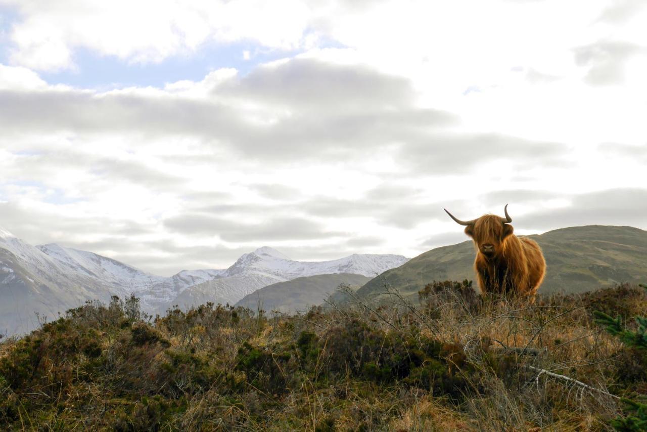 Glen Nevis Holidays フォート・ウィリアム エクステリア 写真