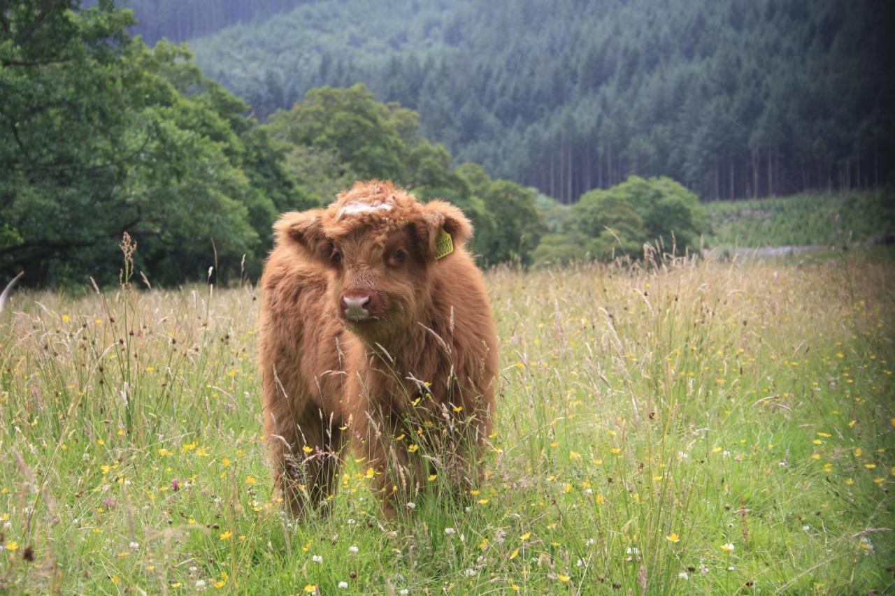Glen Nevis Holidays フォート・ウィリアム エクステリア 写真