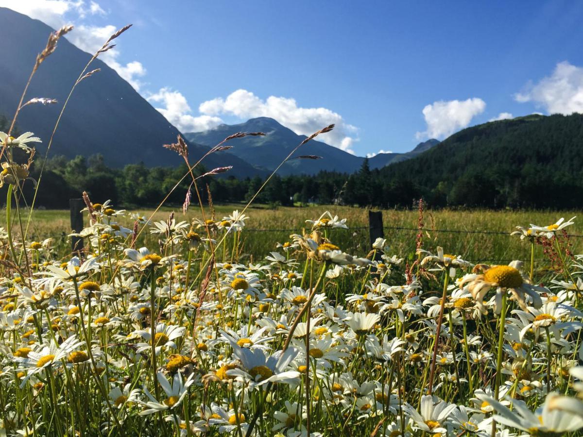 Glen Nevis Holidays フォート・ウィリアム エクステリア 写真